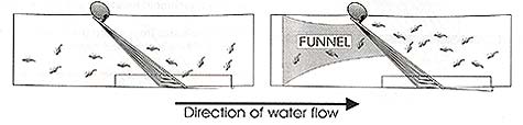 Image: Diagram of Accelerator Funnel