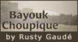 Image: Bayouk Choupique by Rusty Gaud�