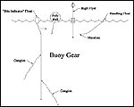 Image: Buoy Gear. (Click to enlarge.)