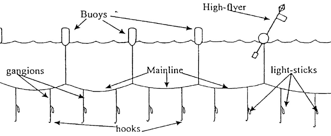 Hooks used during the 2002 and 2003 pelagic longline experiments