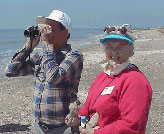 Image: Elmer's Island Survey