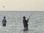 Photo: Surf fishing