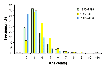 Graph: Age frequency of red snapper harvested by the commercial fishery off Louisiana, 1995-2004.