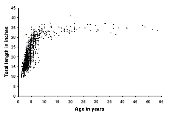 Graph: Age-length relationship for red snapper from the Gulf of Mexico off Louisiana.