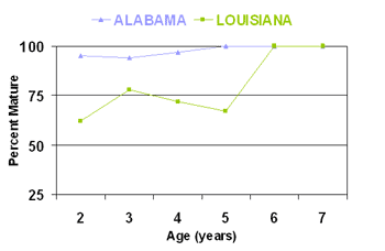 Graph: Age at maturity (able to produce and spawn eggs) for female red snapper captured off Alabama (purple) and Louisiana (green), 1999-2001.